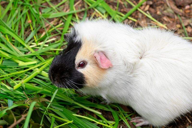 初めての飼育スターターセット提案